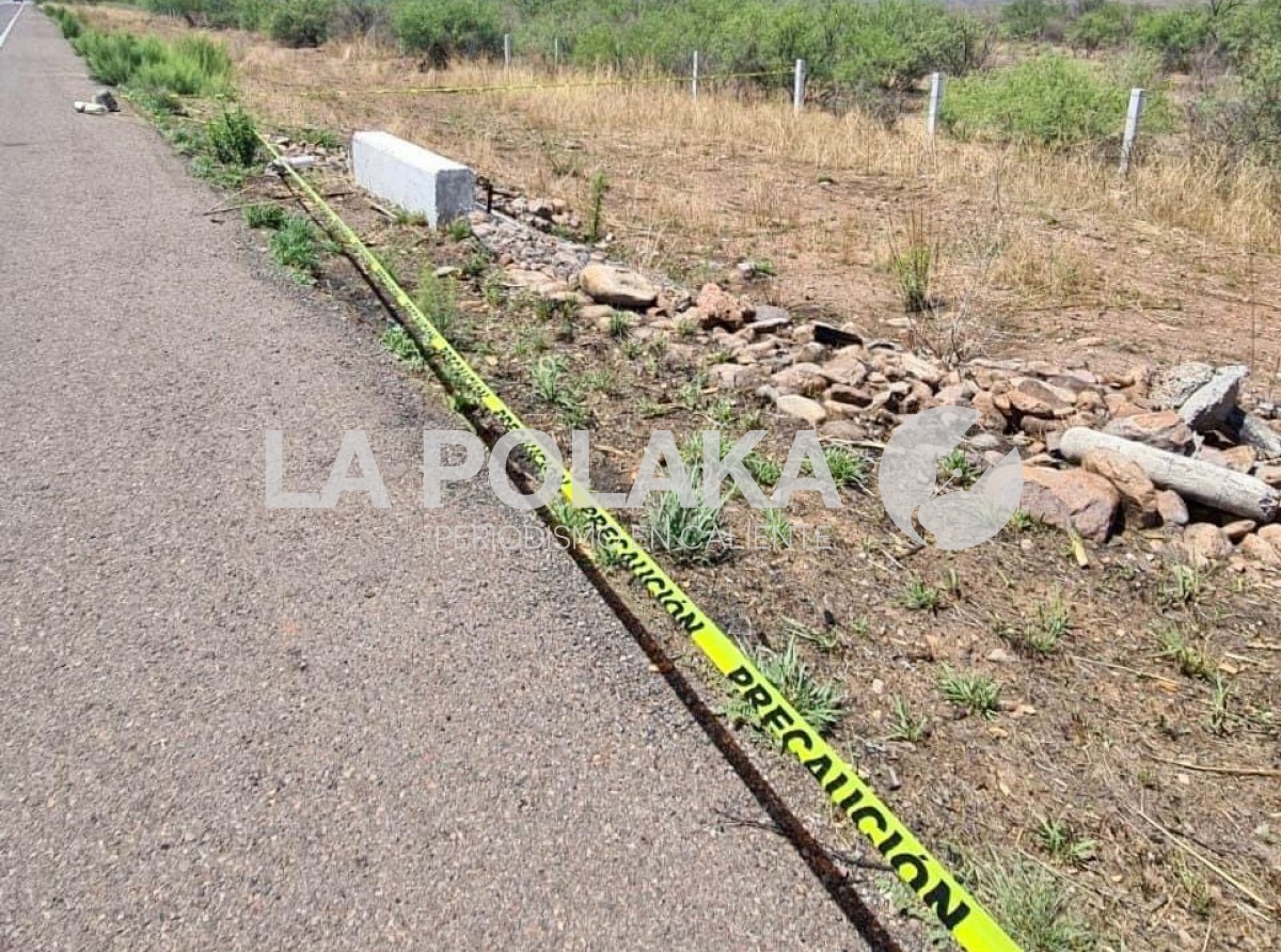 Cadáveres Brotan Como Hongos